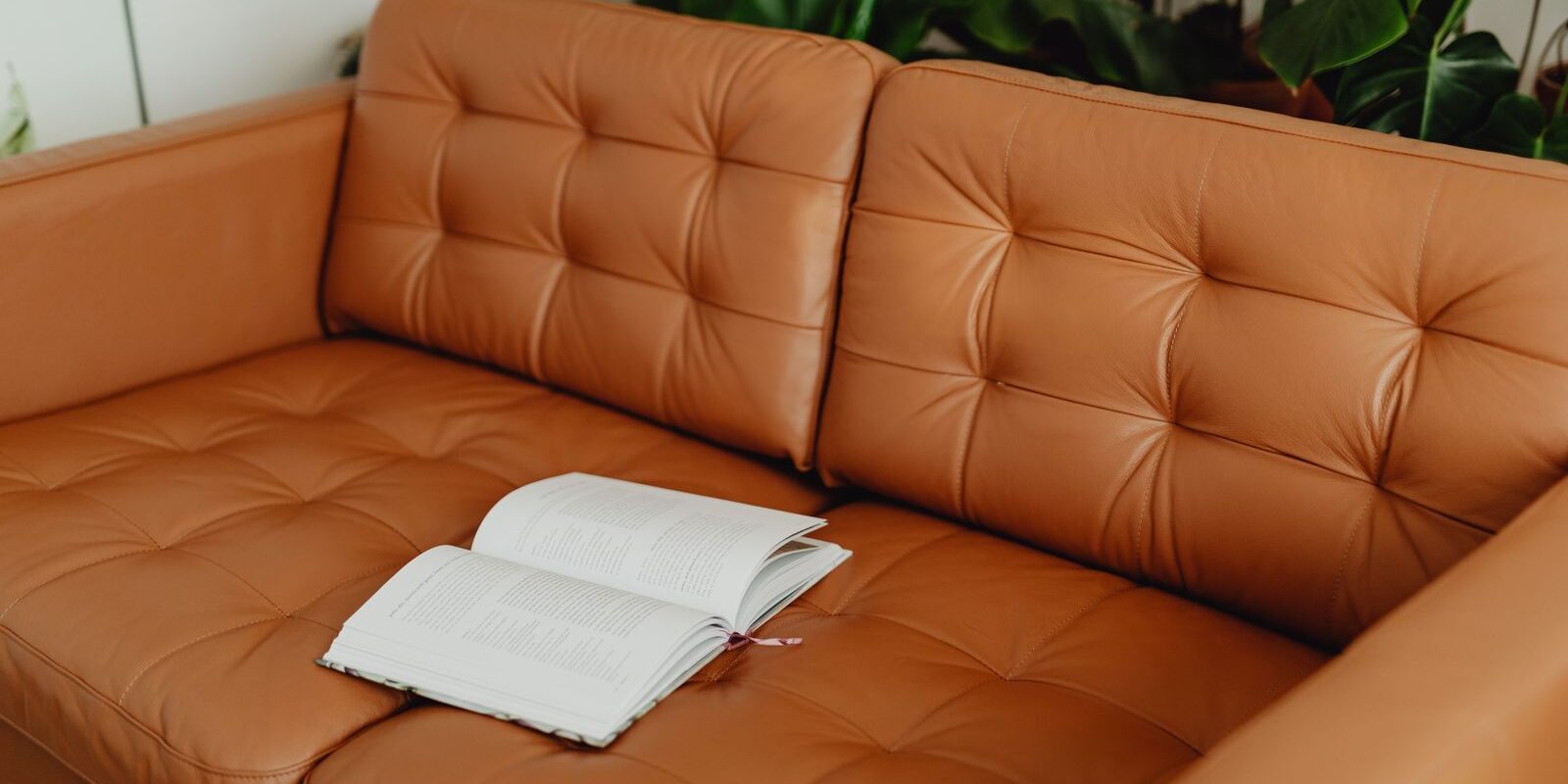 Cognackleurige leren bank met een open boek, omringd door groene kamerplanten